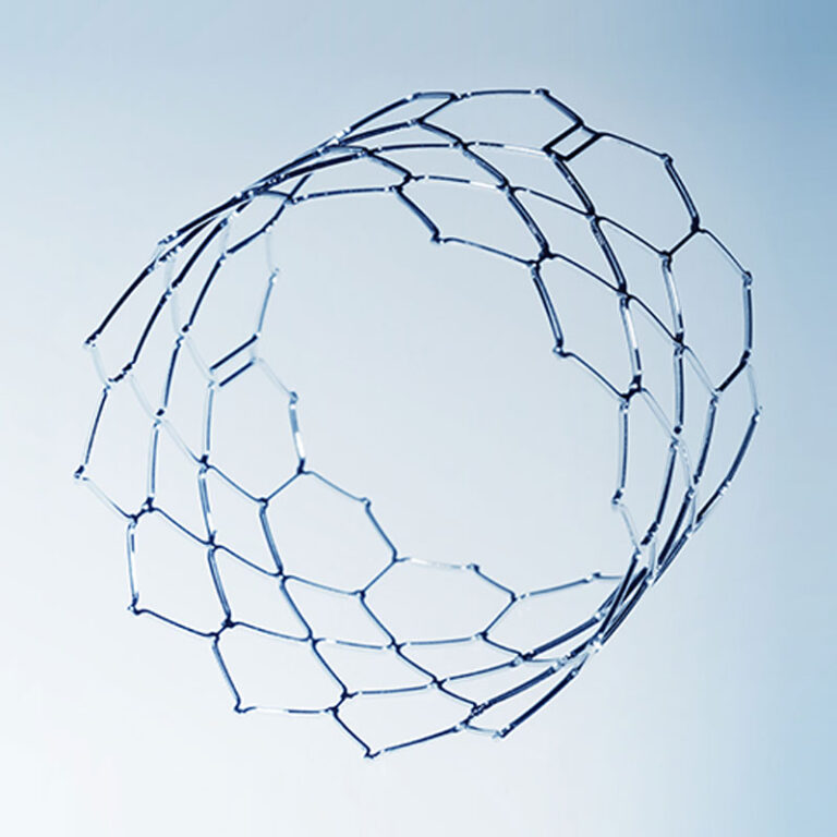 Heart Valve Stents