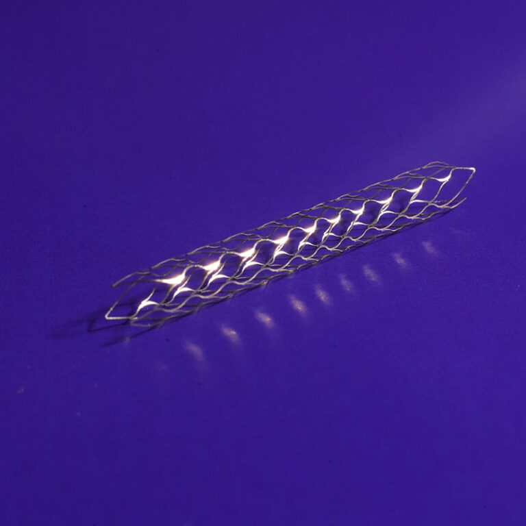 Vascular Stents